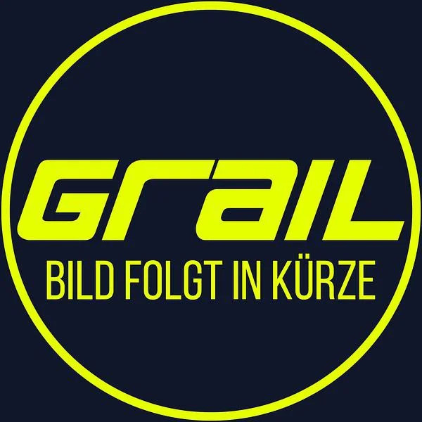 GRAIL KLAPPENANLAGE CUPRA FORMENTOR VZ 310PS