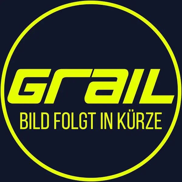 GRAIL KLAPPENANLAGE AUDI RS5 F5